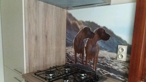 persoonlijke-keukenwand-honden